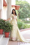 KA 5060 Gold Crush Lehenga With Blouse Dupatta Wholesale Market In Surat